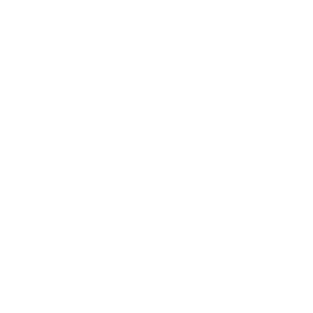Veritas Icon